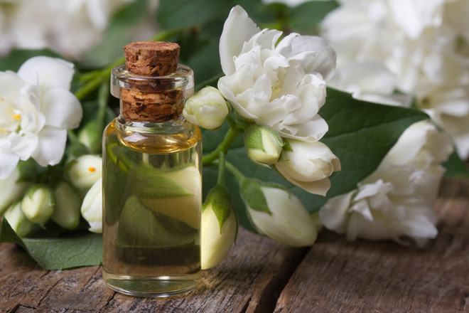 Top 13 chai nước hoa hương hoa nhài có mùi thơm nhất