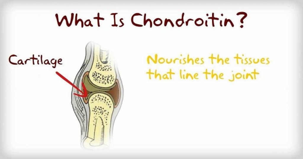 Chondroitin là gì? Tác dụng của Chondroitin với sức khỏe thế nào?