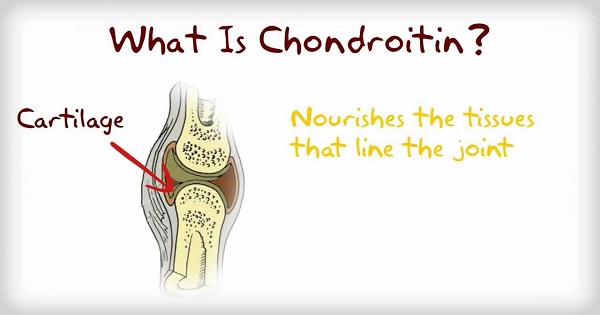 Chondroitin