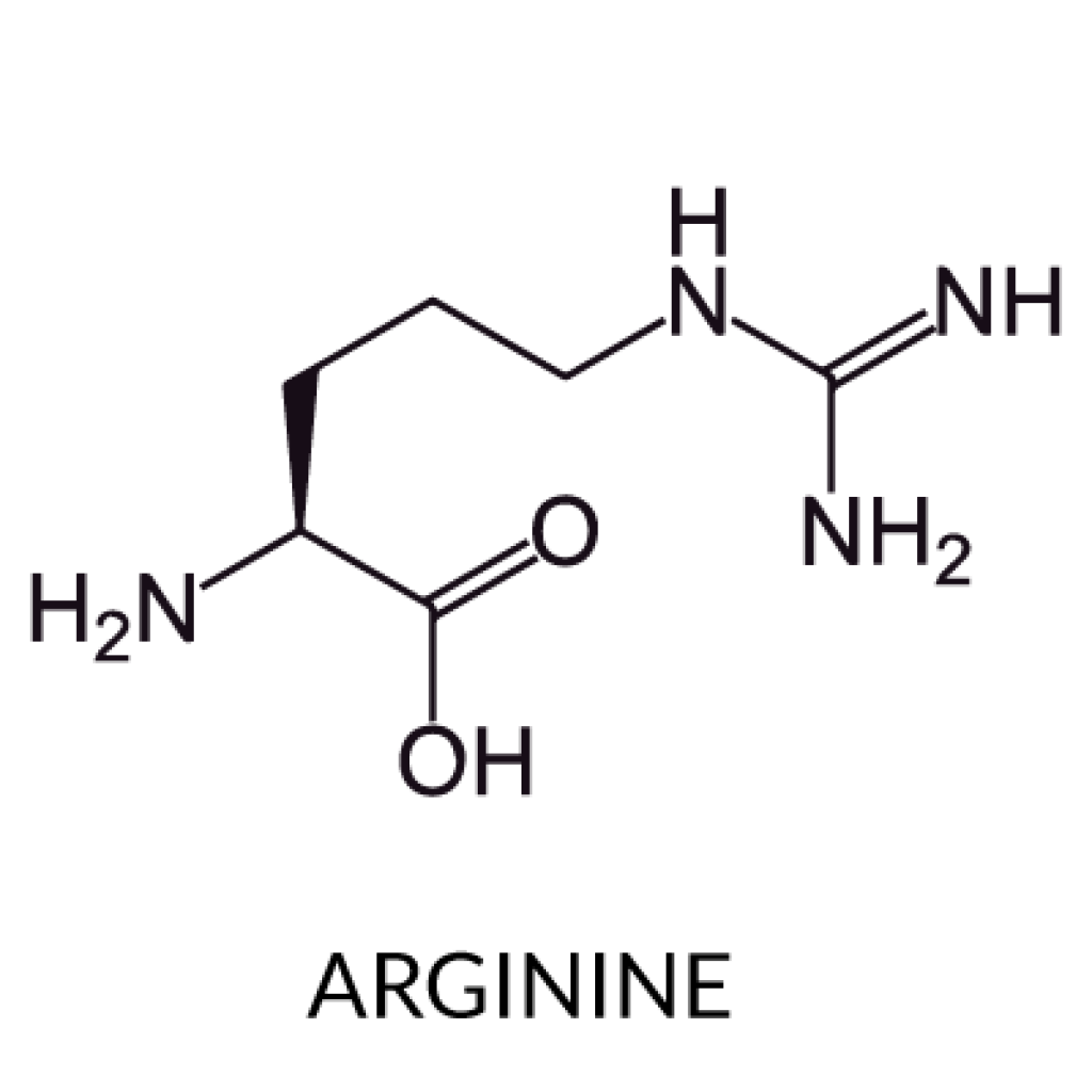 Arginine là gì? Tác dụng của arginine và cách bổ sung hiệu quả
