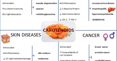 Carotenoids và tác dụng với mắt