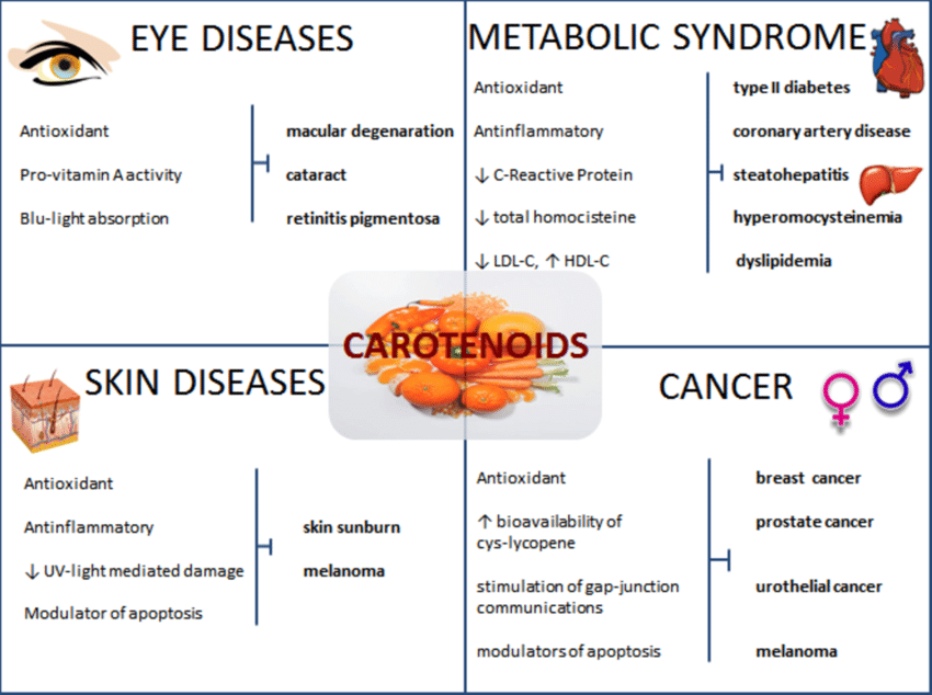 Carotenoids và tác dụng với mắt