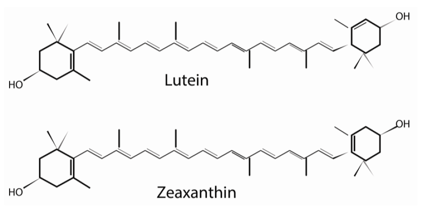 Lutein và zeaxanthin