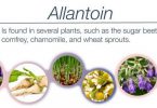 Allantoin