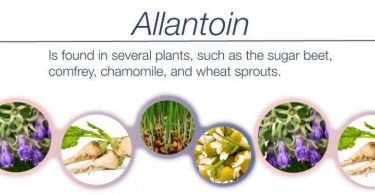 Allantoin