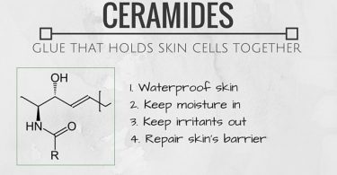 Ceramides