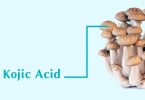 Kojic acid là gì