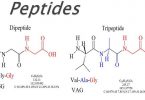 peptide trong mỹ phẩm