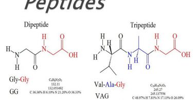 peptide trong mỹ phẩm