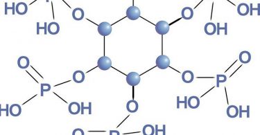 acid phytic