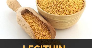 Lecithin