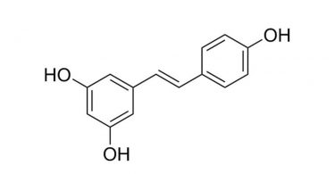 Resveratrol