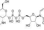 Acetyl glucosamine
