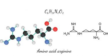 arginine là gì