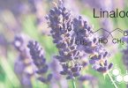 linalool