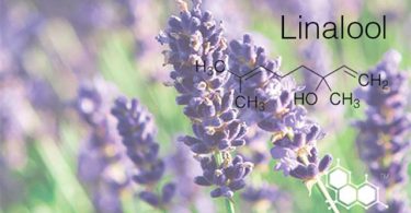 linalool