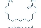 Palmitic Acid