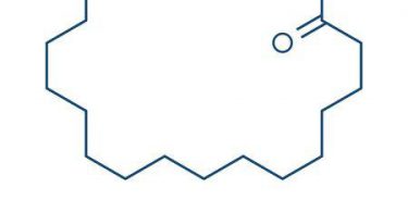 Palmitic Acid