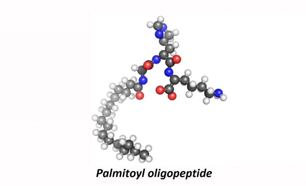 Palmitoyl oligopeptide
