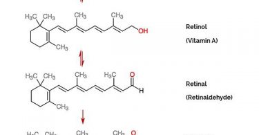 Retinyl palmitate